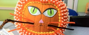 Cat Pumpkin
